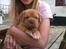 Dogue de bordeaux Kanto - På besøg hos Anita