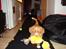 Nova scotia duck tolling retriever Redborn first Contact (Dixie) [Himmelhund] - Apportering (9 uger)