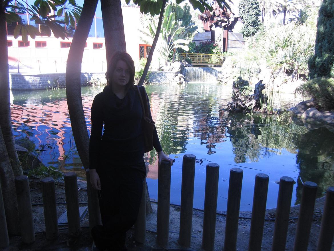 Blanding af racer Thierry Henry billede 5