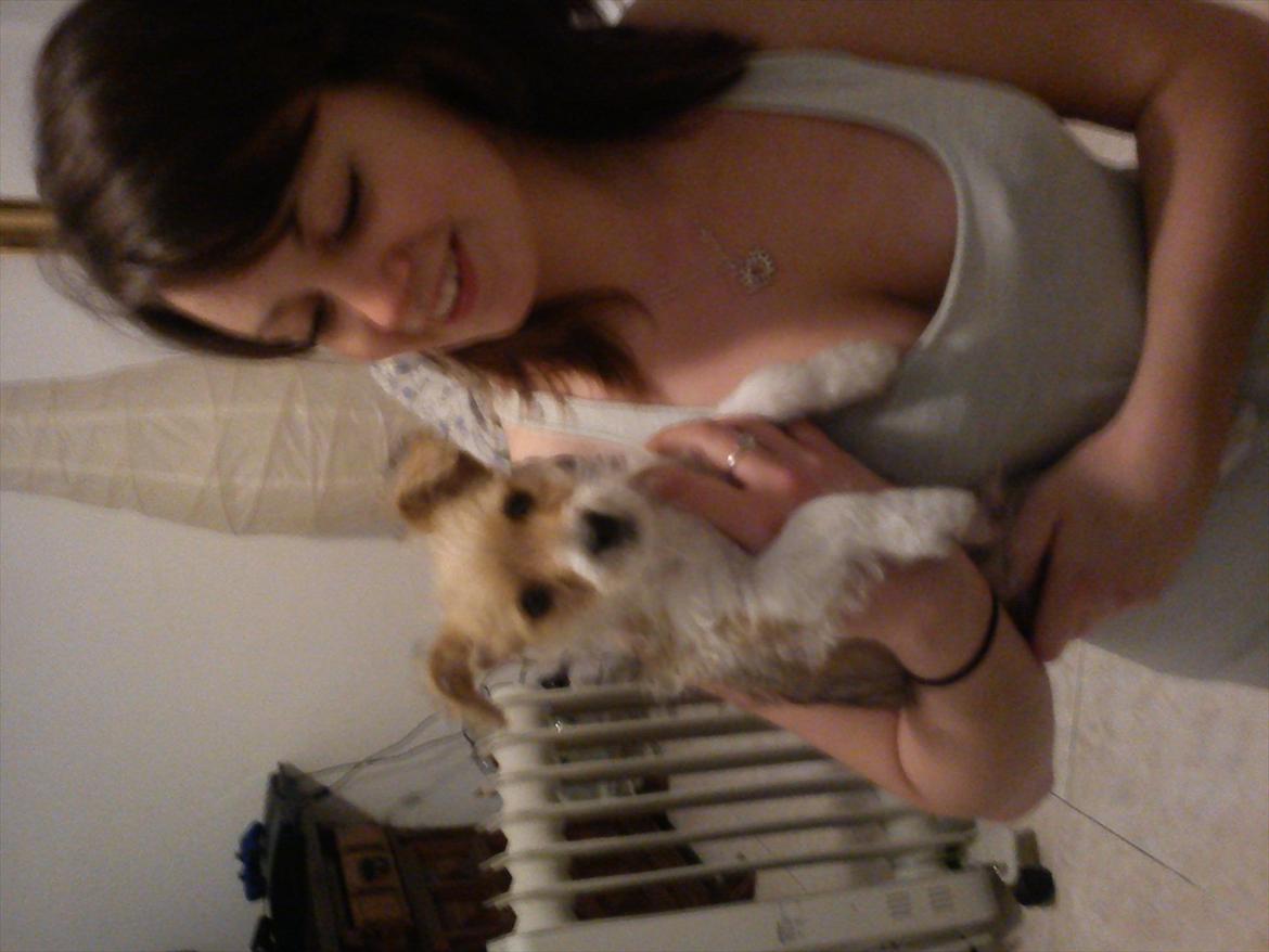 Blanding af racer Thierry Henry billede 9