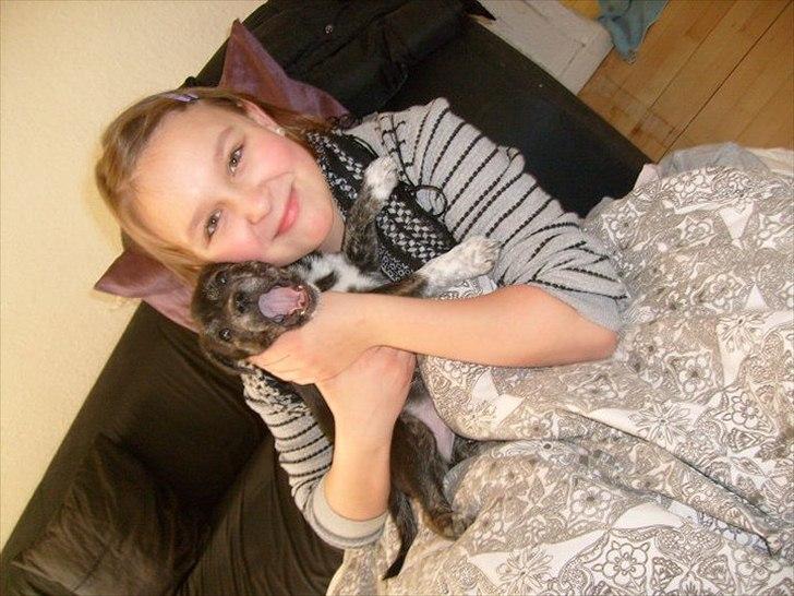 Blanding af racer Mynte billede 8