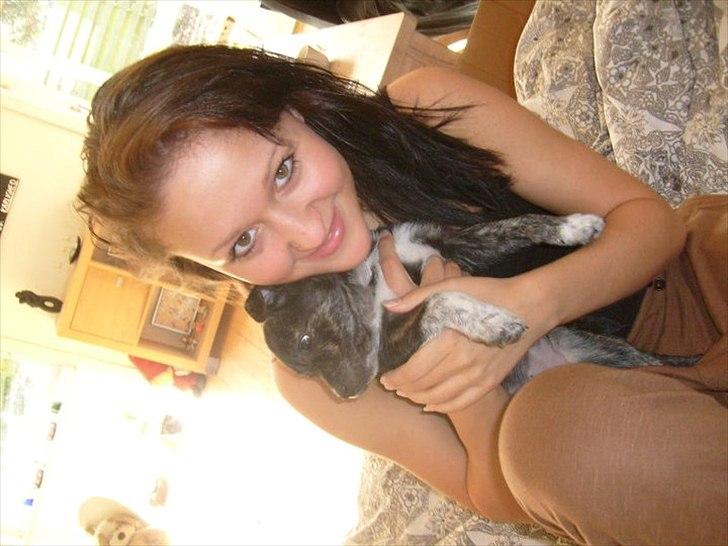 Blanding af racer Mynte billede 10