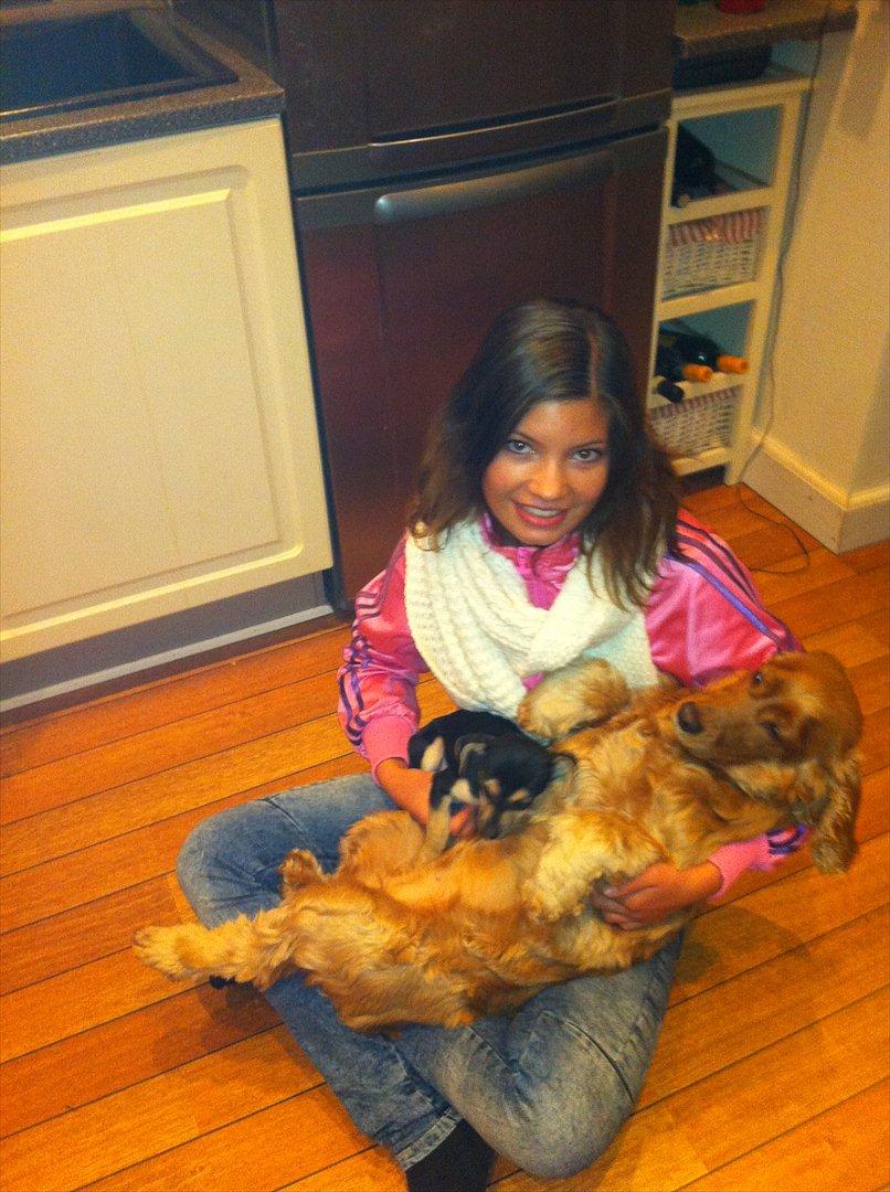 Cocker spaniel Molly Leicht - Molly og Ziggy billede 2