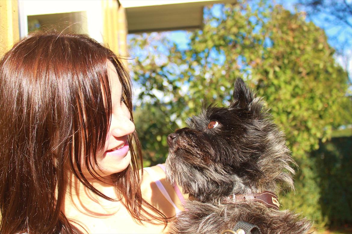 Cairn terrier Mathilde  - I will always love you! billede 1