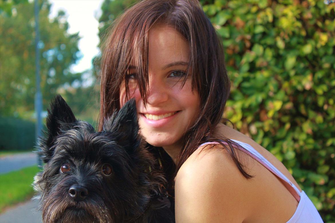 Cairn terrier Mathilde  - <3 billede 2