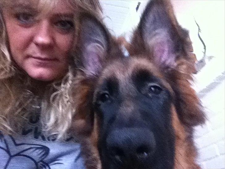 Schæferhund Langtoftens Cato - Cato og mor ;-) billede 14