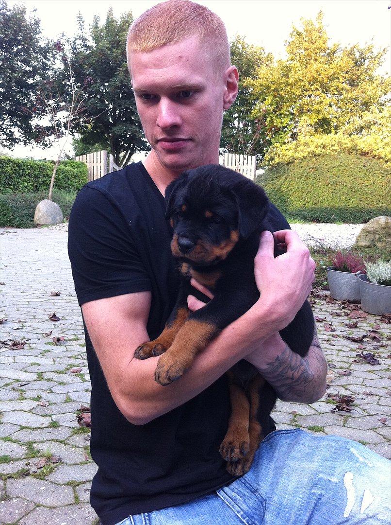 Rottweiler Heitah's Zohan (Coco) - Coco & far <3 billede 6