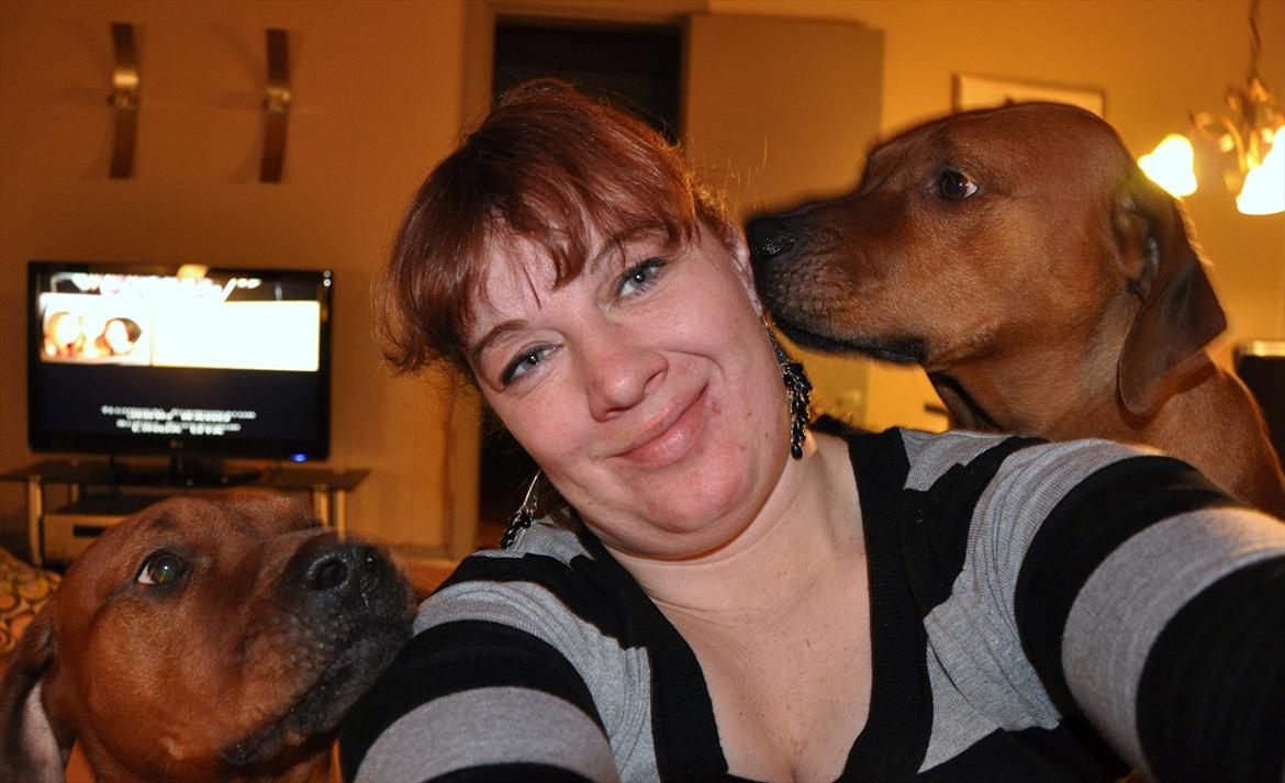 Rhodesian ridgeback Alika - Elsker vores menneske mor.. billede 9