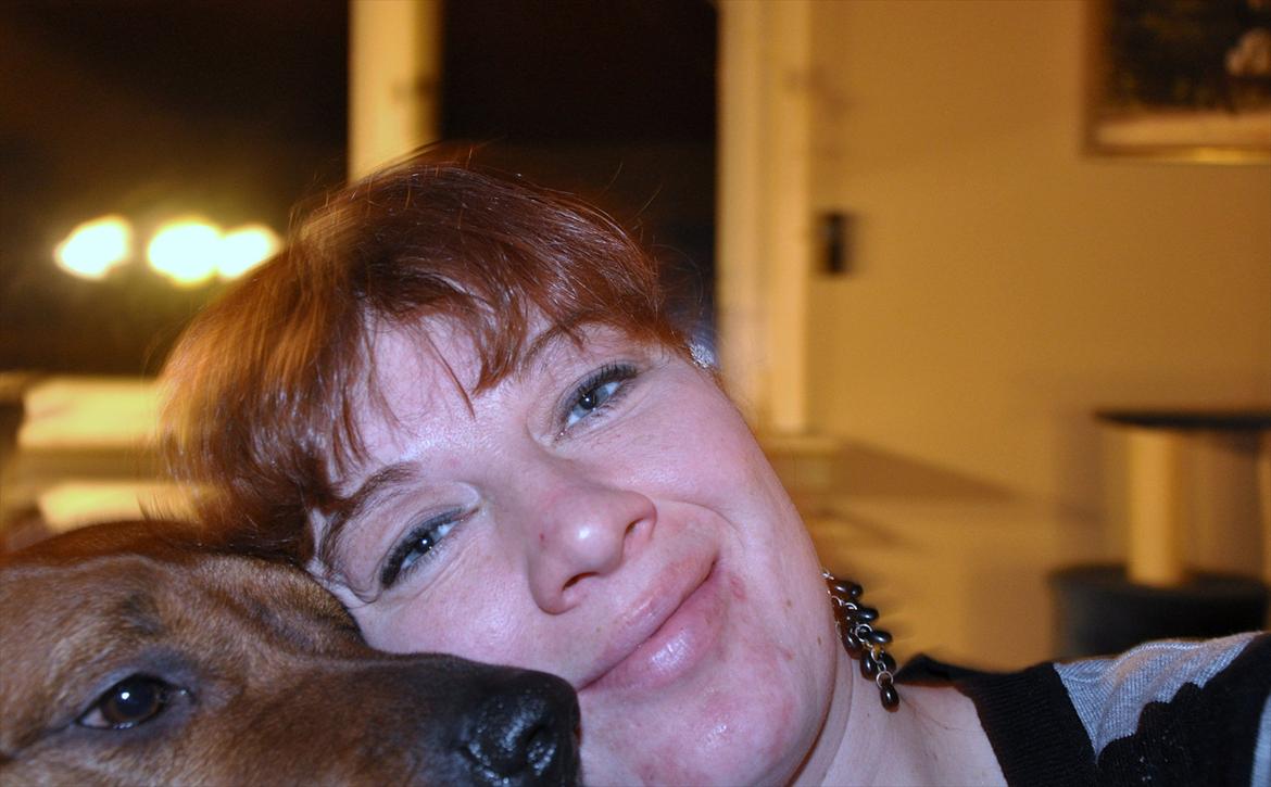 Rhodesian ridgeback Alika - LOOOOOOOOOVEEEEEEEE <3 <3 <3  billede 11