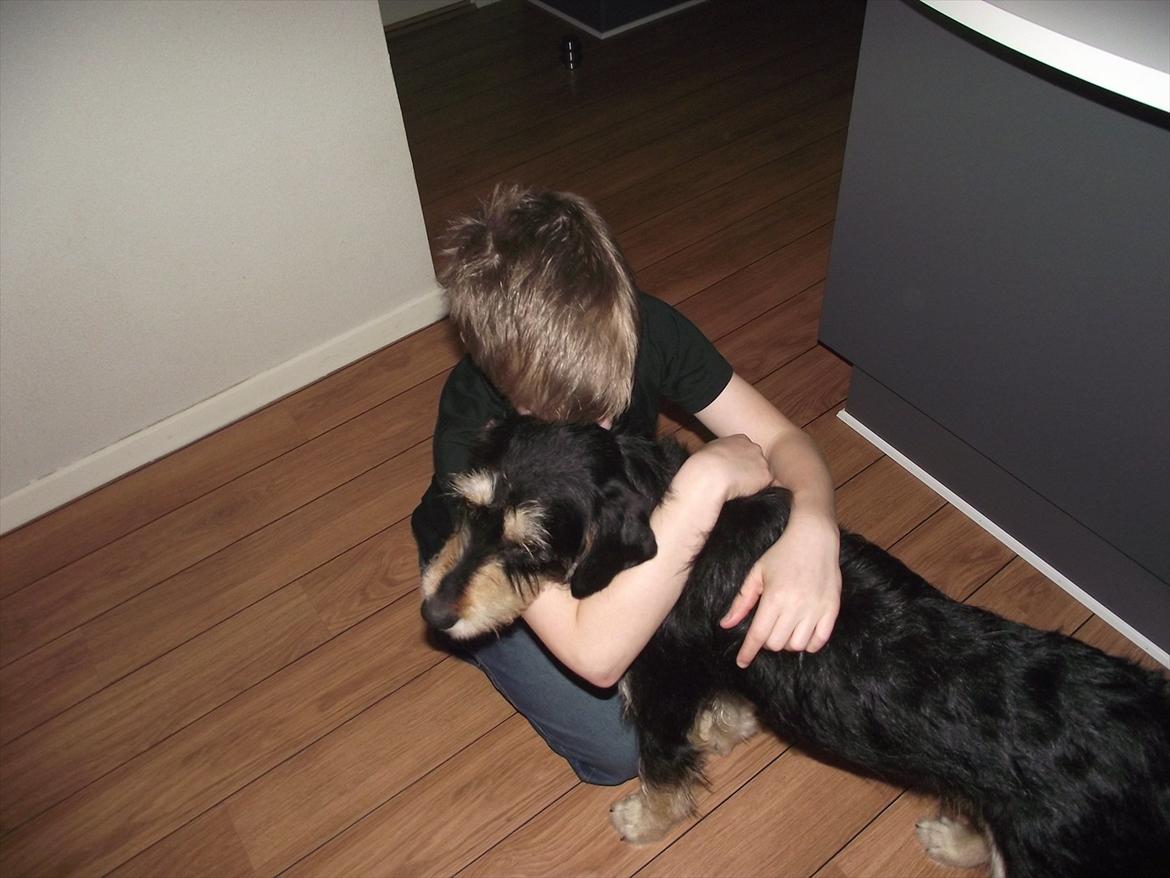 Blanding af racer Louis billede 15