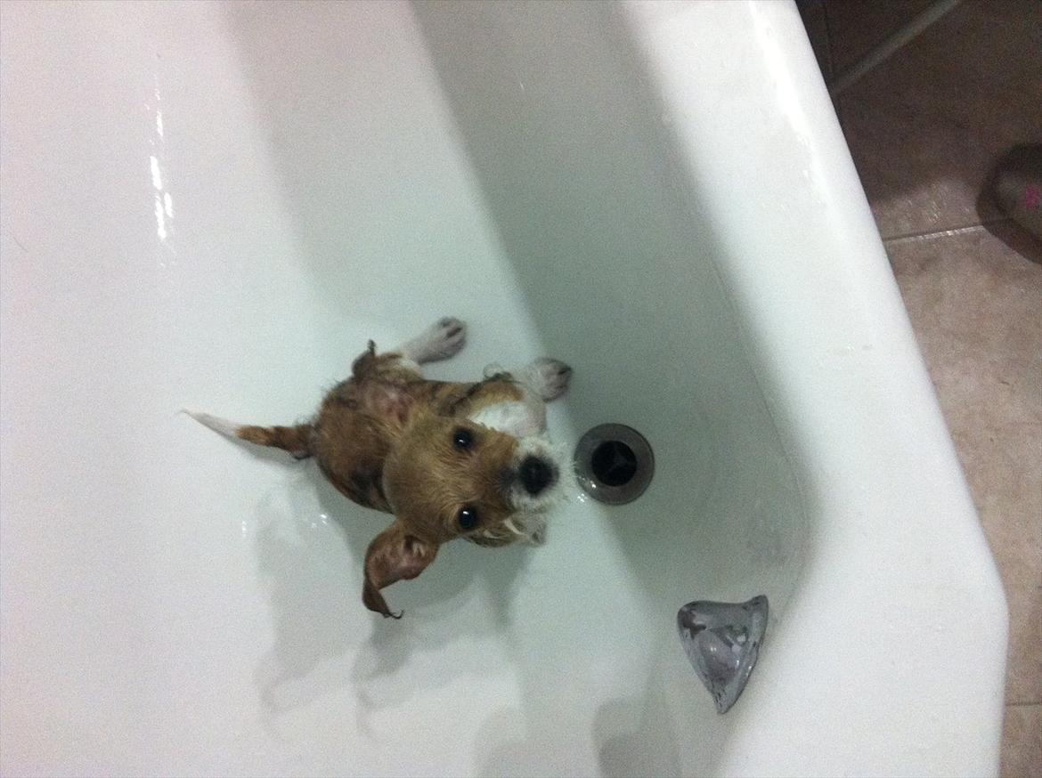 Blanding af racer Thierry Henry billede 13