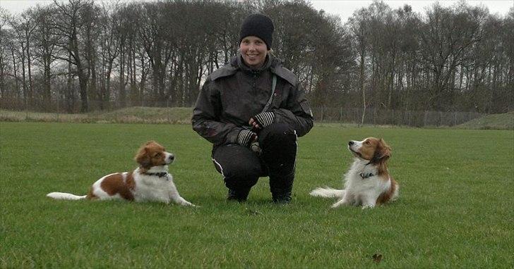 Kooikerhondje Vitovani's Camino D'Belox - Mig, Cashew og søster Cisla billede 5