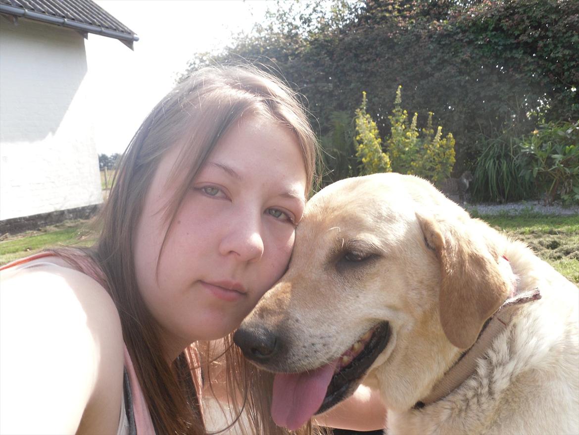 Blanding af racer Zitta [Himmelhund<3] billede 12