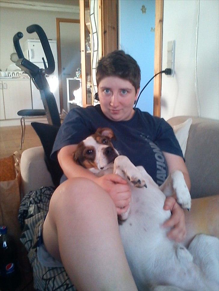 Blanding af racer Diego - Mors dreng.  billede 19