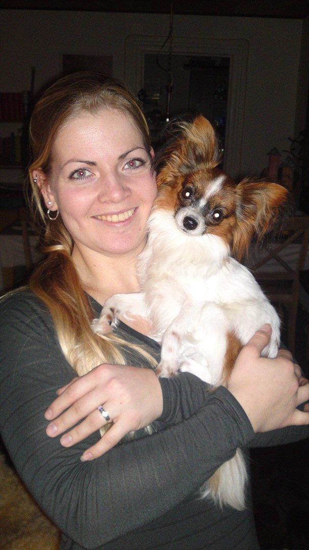 Papillon NA's Molly - mig og min lille pige :D jan. 2012 billede 11