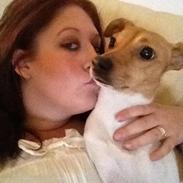 Dansk svensk gaardhund Molly