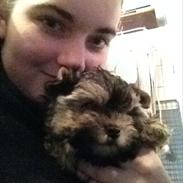 Blanding af racer | Oscar <3