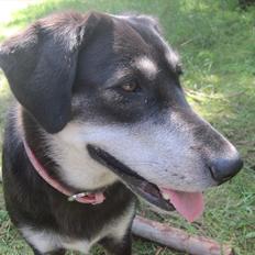 Blanding af racer Nuka