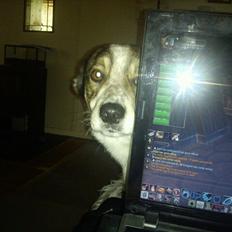 Blanding af racer Roster