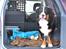 Berner sennenhund Sacko - Min hundebil