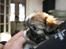 Shih tzu Gizmo ( blue shih tze )