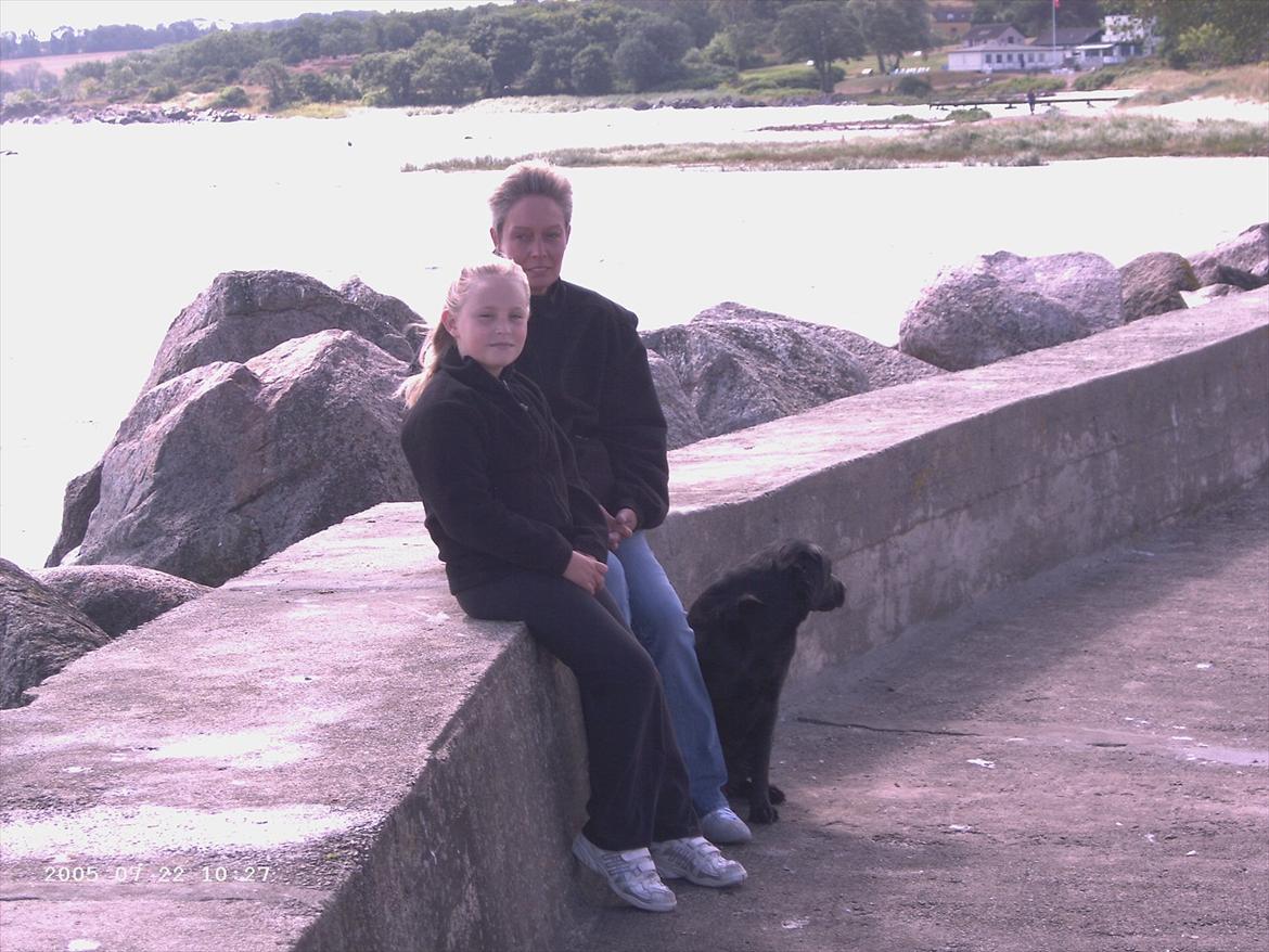 Labrador retriever Tøsen - Jeg, min mor og Tøsen ved Gudhjem på Bornholm 2005 billede 2