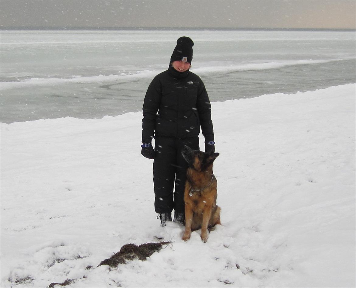 Schæferhund Akacias Mocca - Charlotte og Mocca - en dejlig tur på en kold dag :-) billede 14