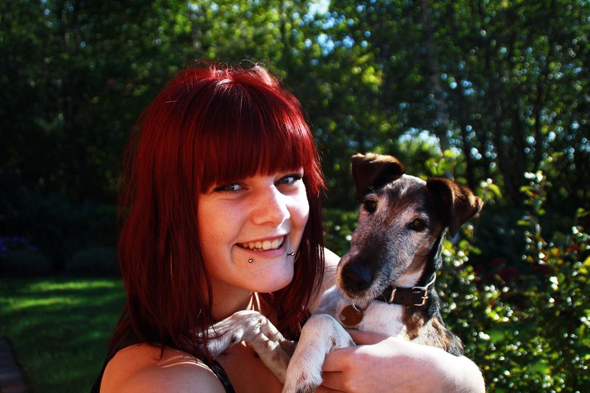 Glathåret foxterrier Ricko - På gensyn derude! Håber i hyggede jer på hans profil :) billede 17