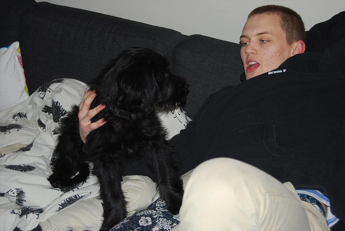 Blanding af racer Nora billede 5