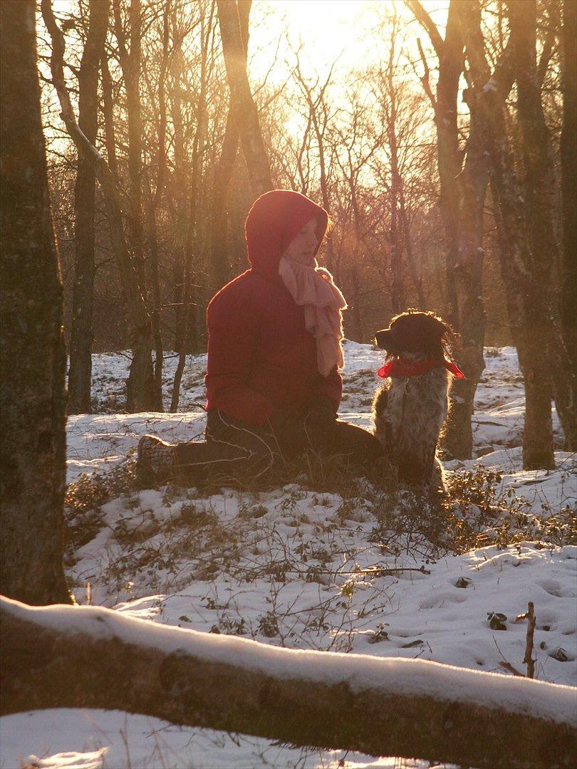 Blanding af racer Kouda - 14) Mig og Kouda på heden 2012 billede 14