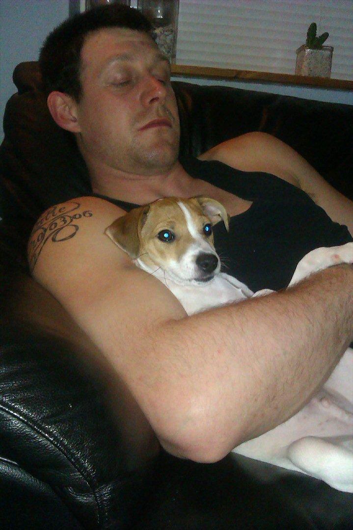 Blanding af racer Milo Max - Puttetid hos farmand billede 13