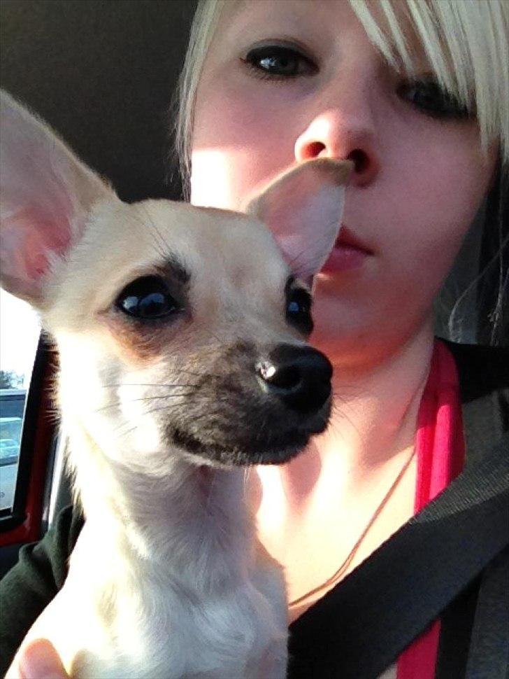 Blanding af racer Eddie. - Tag jer ikke af mig med min dobbelthage xD 
- Eddie holder øje med mennesker på parkeringspladsen. billede 16