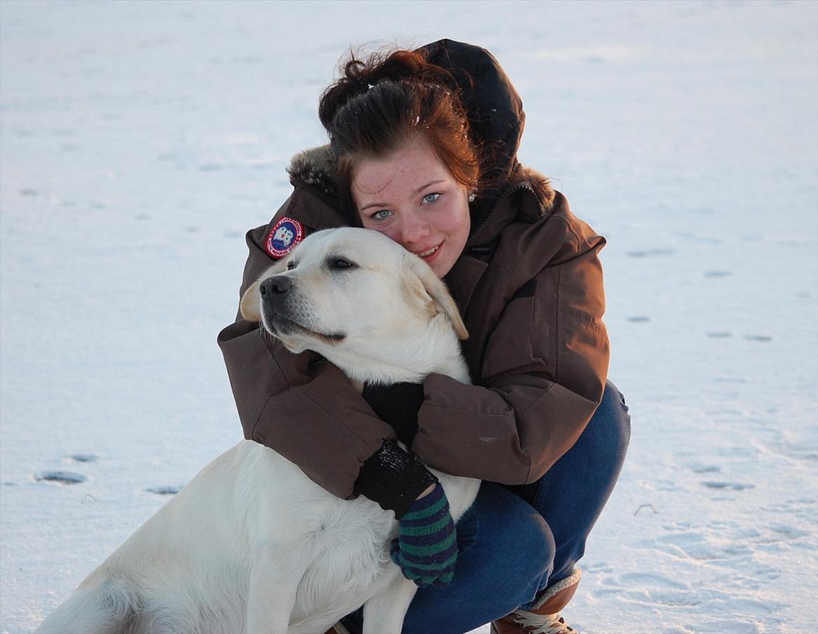 Labrador retriever Loui - Loui og jeg !:* billede 7