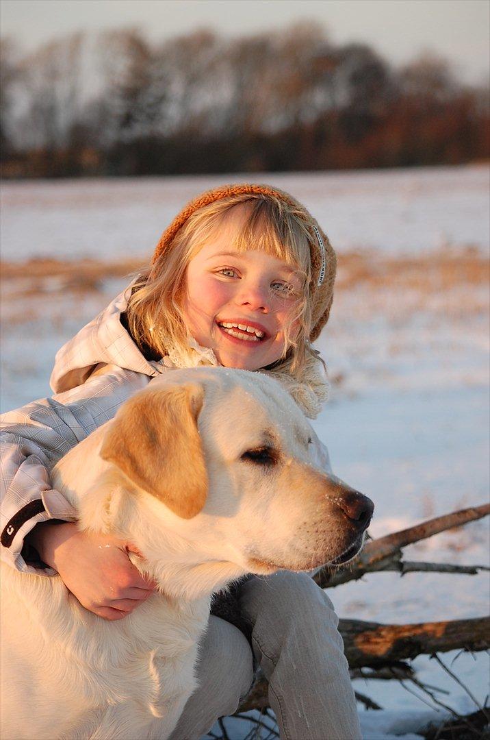 Labrador retriever Loui - Loui og lillesøster Emma !:) billede 6