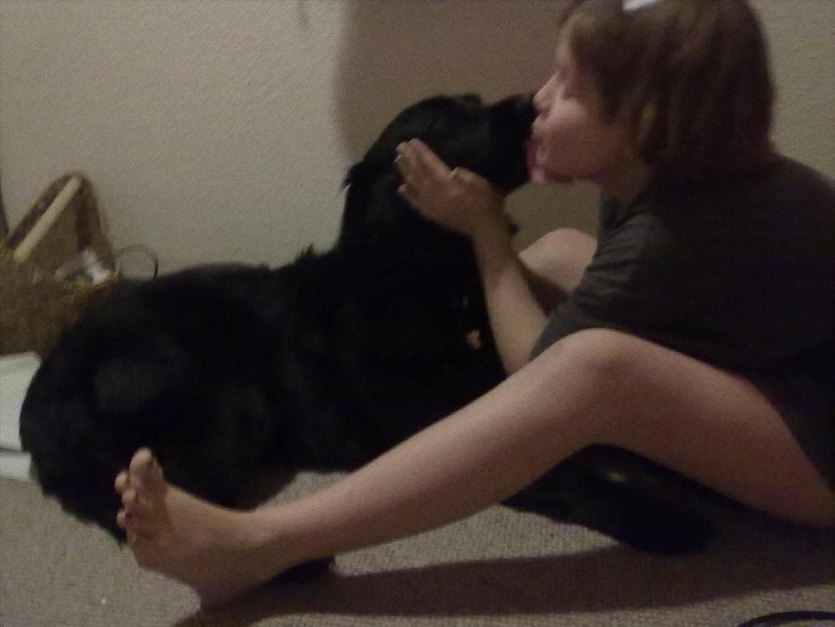 Flat coated retriever Frida billede 4