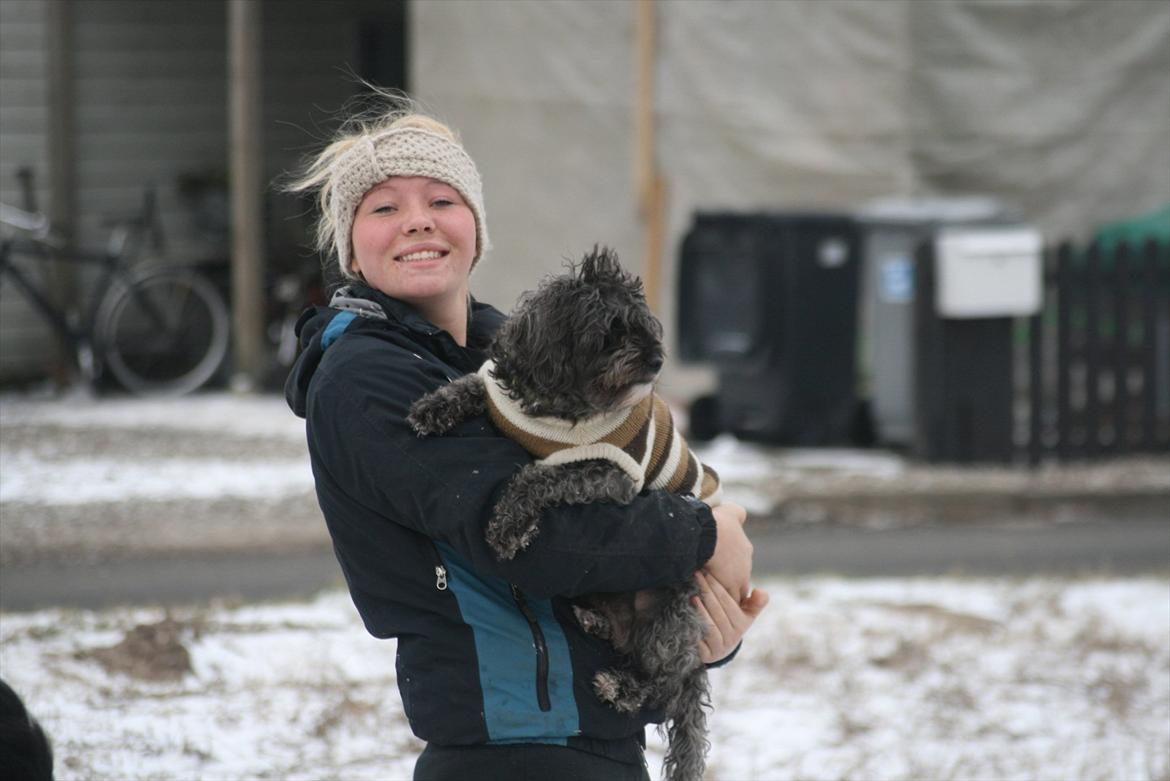 Blanding af racer Marta billede 10