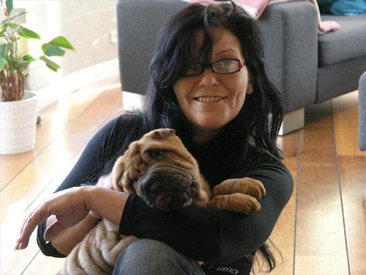 Shar pei Min Nanni ally´s Nemo/ Nemo i daglig tale - min nye menneske mor...  billede 20