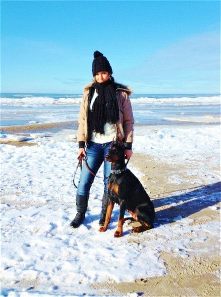 Dobermann Aishia - Mig og min smukke hund billede 15