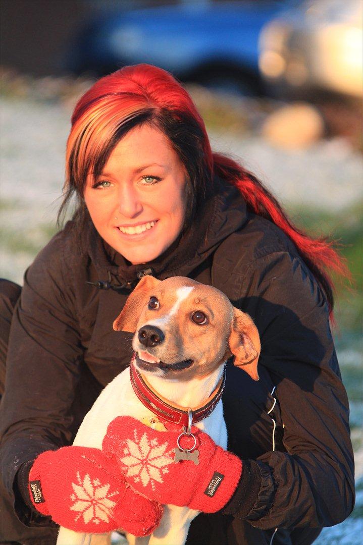 Blanding af racer BOB billede 7