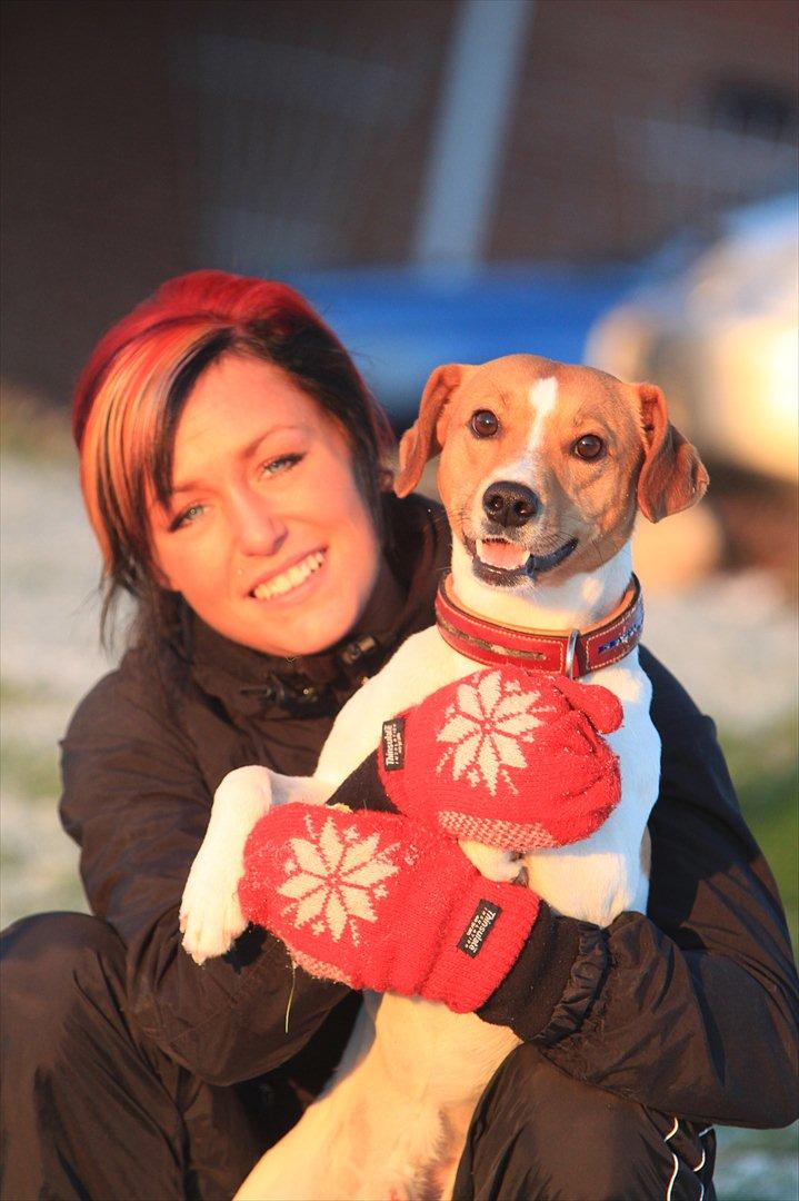 Blanding af racer BOB billede 1