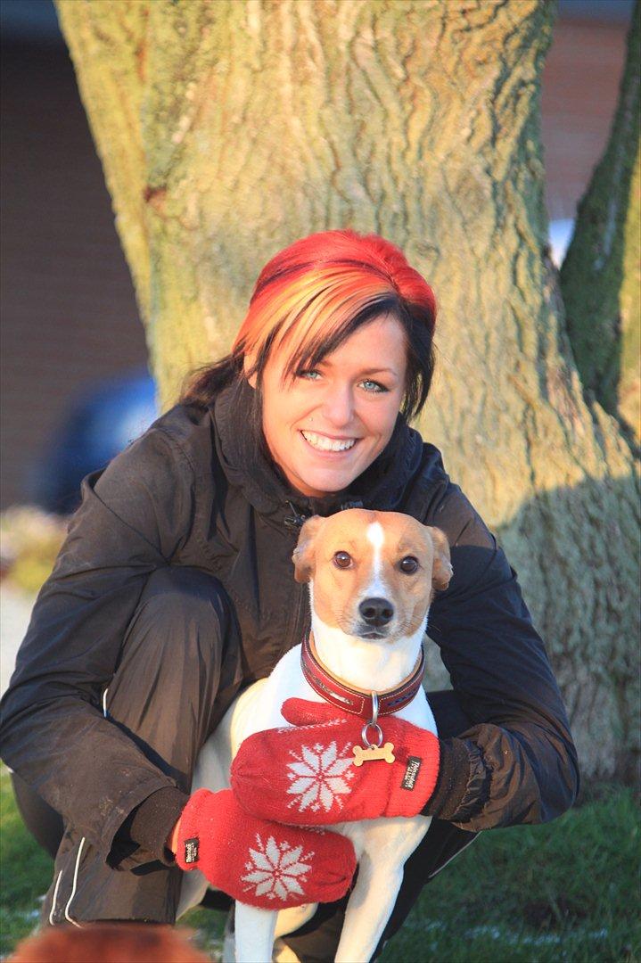 Blanding af racer BOB billede 8