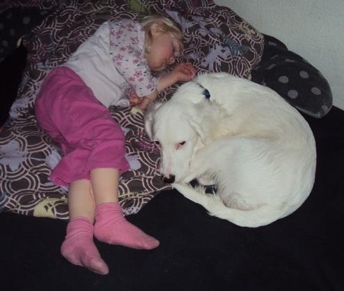 Blanding af racer Nicki *RIP* - Min søde kusine og Nicki får sig en lur. billede 6