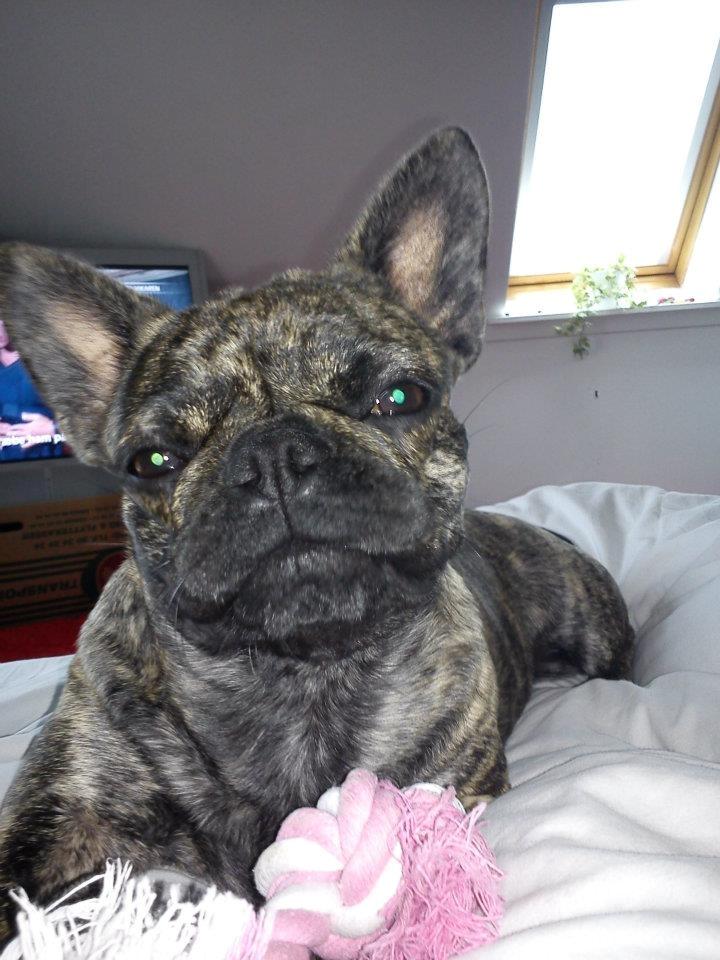 Blanding af racer tøzen billede 1