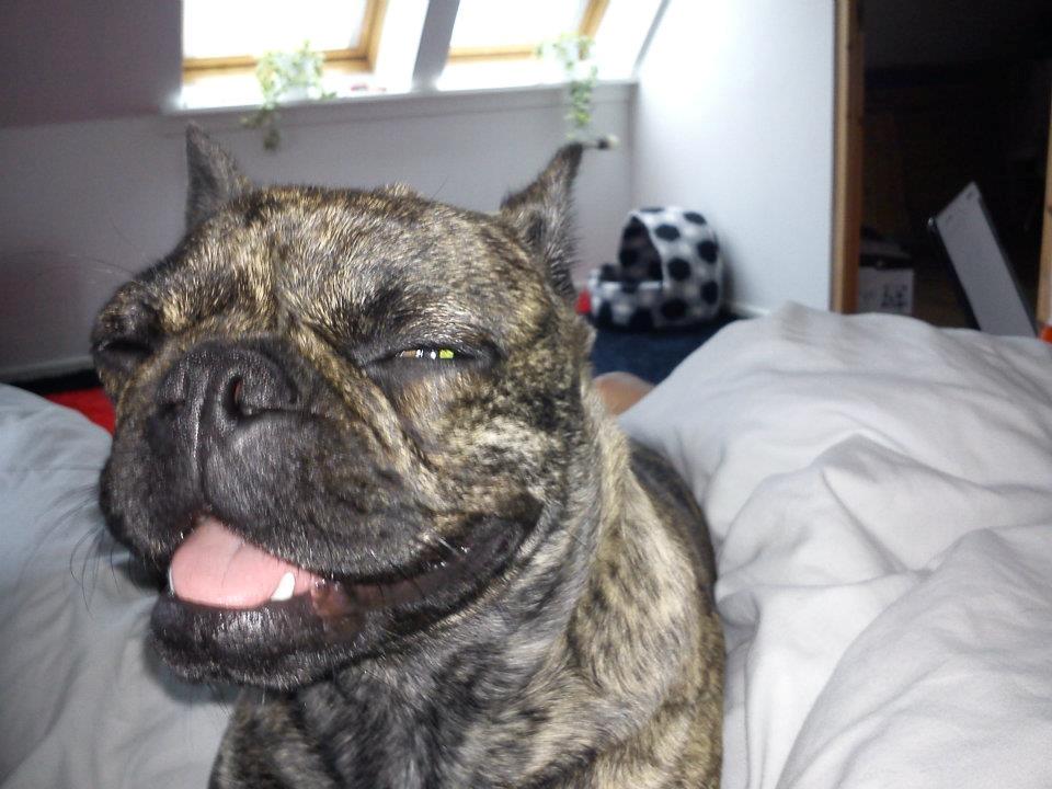 Blanding af racer tøzen billede 12