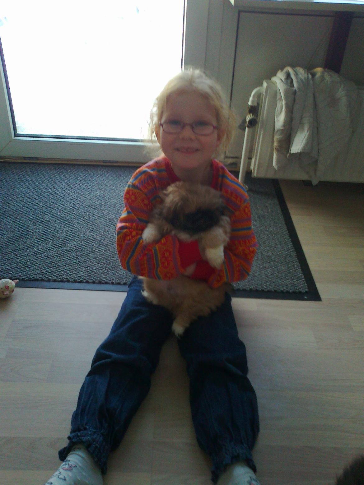 Pekingeser Novaki - Tulle og jeg er meget glade for hinanden.. billede 1