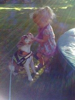 Blanding af racer William - Min søster og William.
De efter hinanden meget højt, og Thilde elsker at passe ham <3 billede 9