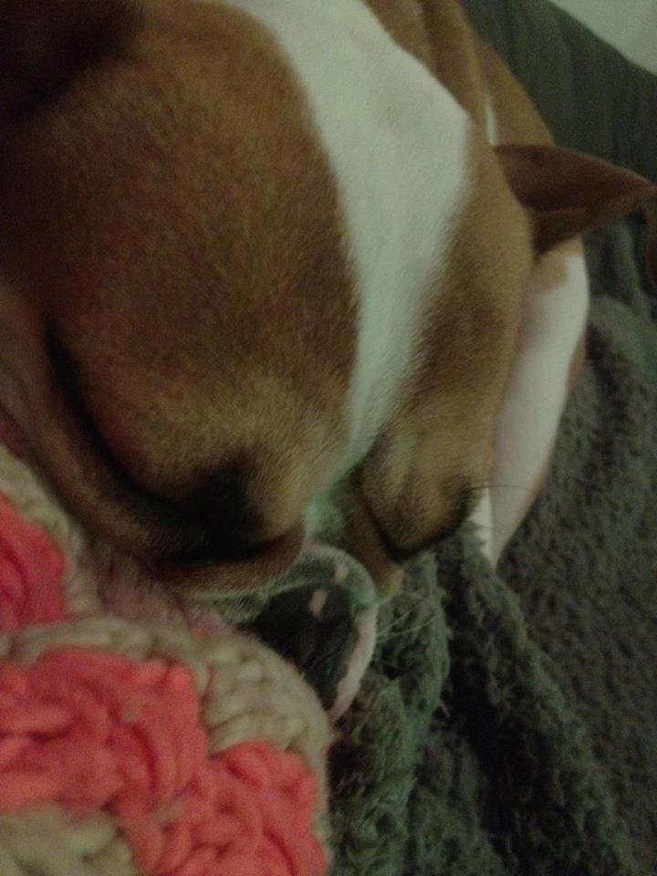 Blanding af racer William - Faldt lige om på mor (: billede 13