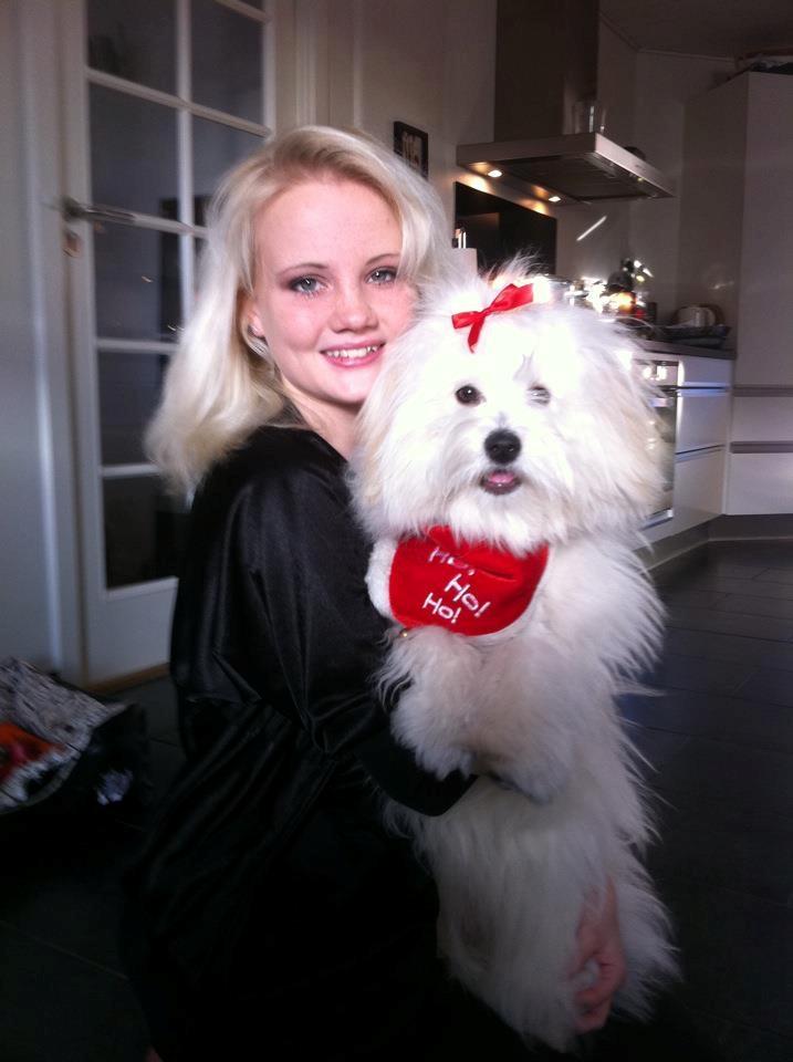 Coton de tulear Vicky - Jul 2011 billede 20