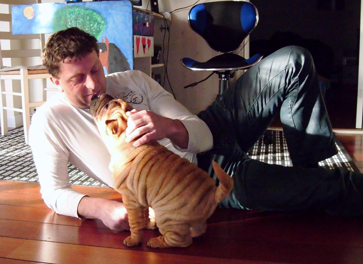 Shar pei Min Nanni ally´s Nemo/ Nemo i daglig tale - Min nye menneske far.... billede 19