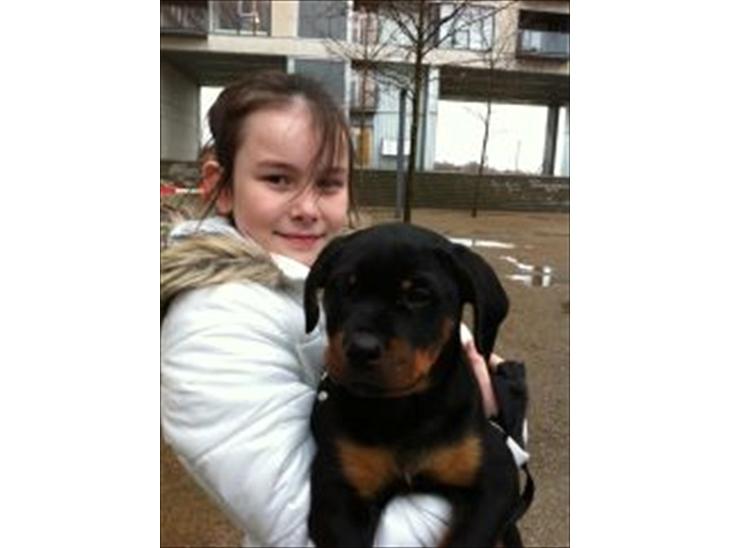 {{currentPhoto.altText}} billede {{currentPhoto.number}}